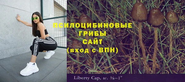 меф Алзамай