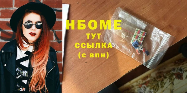 СК Алексин