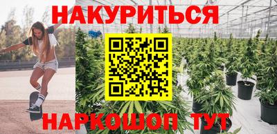 прущие крисы Кимры