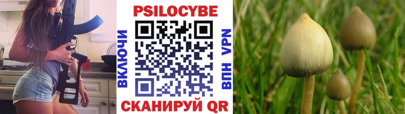 МЕГА tor  купить наркоту  Люберцы  Галлюциногенные грибы мухоморы 