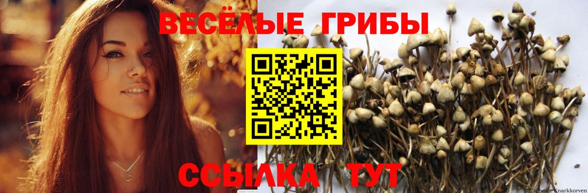 Люберцы  Галлюциногенные грибы прущие грибы  Галлюциногенные грибы MAGIC MUSHROOMS  Вход с VPN 